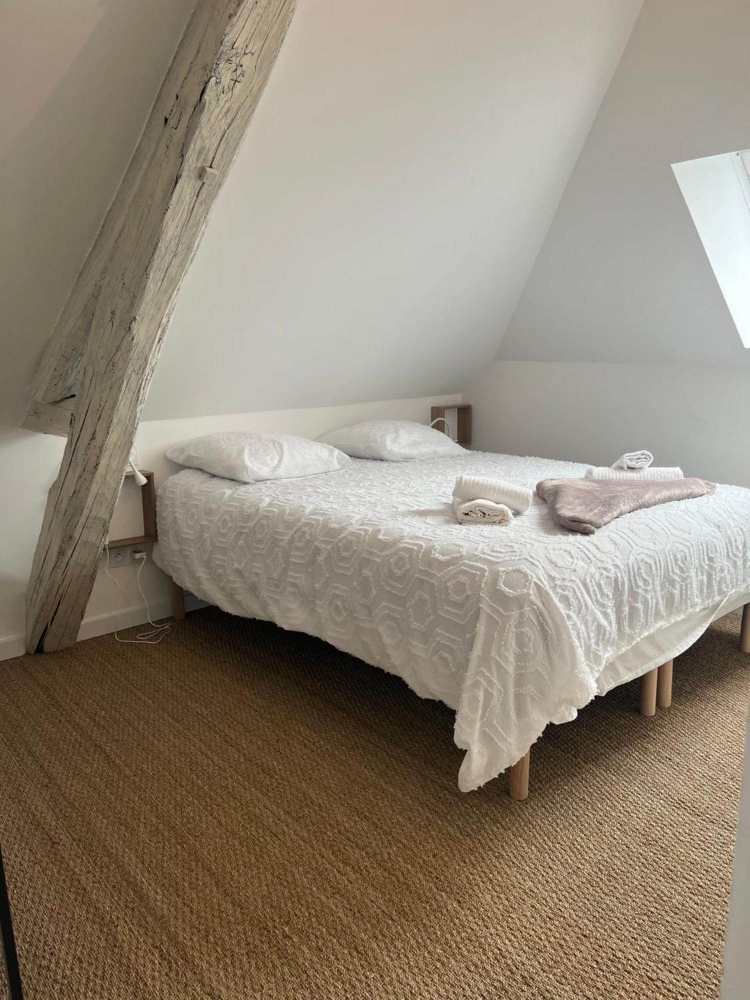 Sejour De Charme Au Boheme Apartman Amboise Kültér fotó